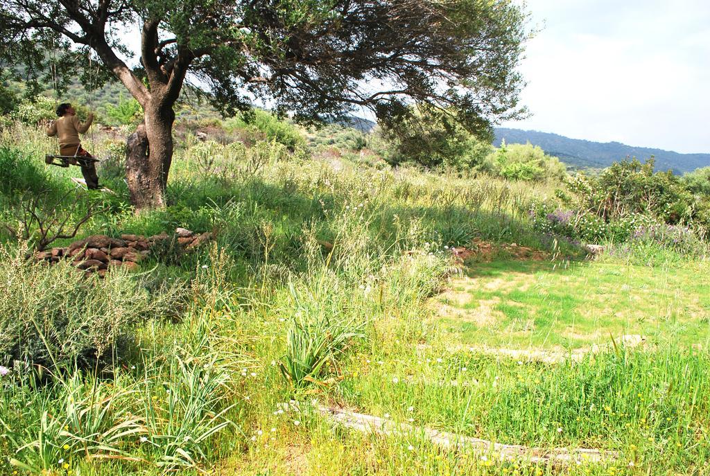 Essenza Sardegna Ξενοδοχείο Torpè Εξωτερικό φωτογραφία